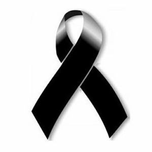 Meet your Posher, Paco